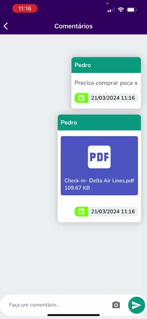 Comentário com um arquivo PDF anexado como evidência
